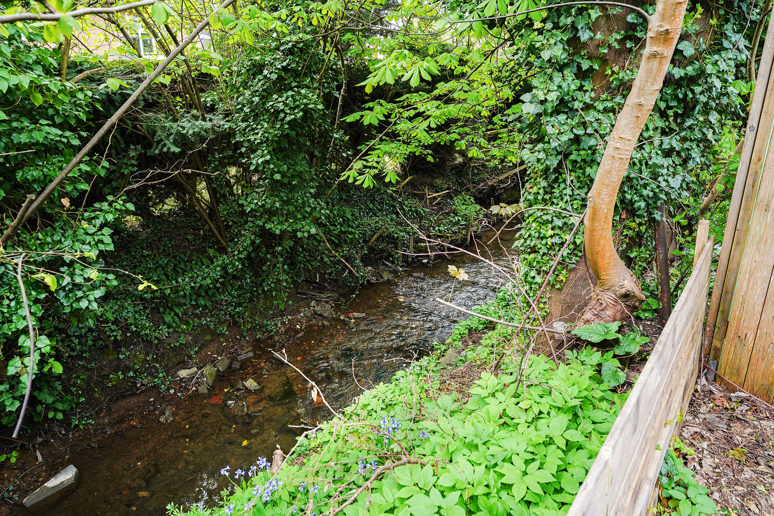 L822196-CHELTENHAM-12